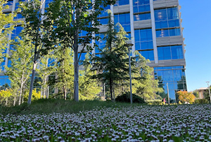 Santa Clara, CA (SJC14) Data Center